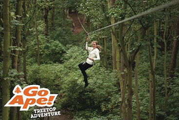 Tree Top Adventures Zip Line